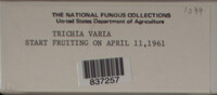 Image Associated With the Occurence